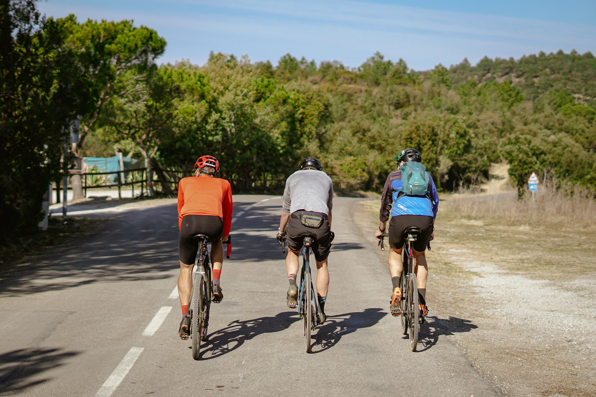 Elcykel dame Salg 19 Elcykel dame Salg -Elcykel dame Salg 278398957 5517759091582295 6036783050421148245 n