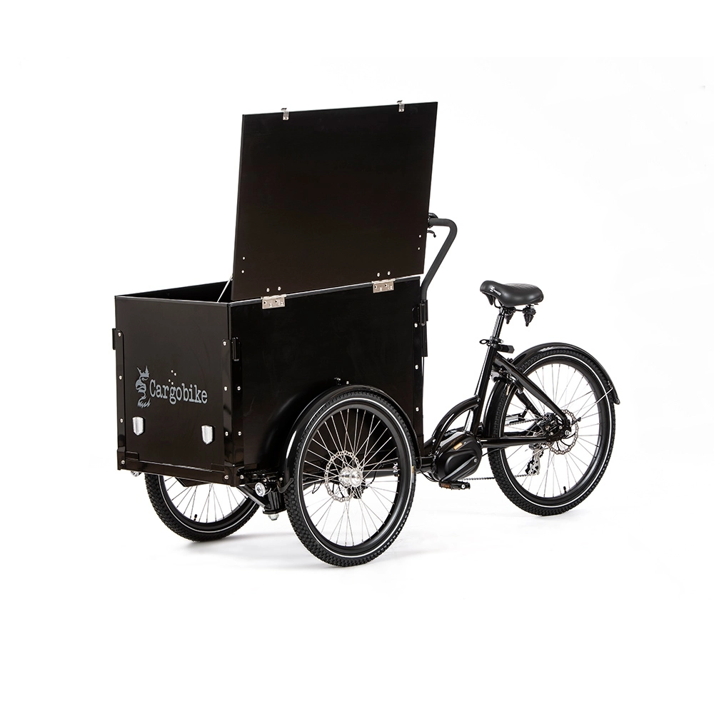 CargoBike Of Sweden Cargobike Delight Box – El-ladcykel Med Låg 1 CargoBike Of Sweden Cargobike Delight Box – El-ladcykel Med Låg